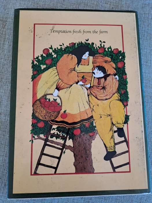 The Old Cape Farmstall Cookbook - Judy Badehorst, Glenda Moody and Sarah Seymour