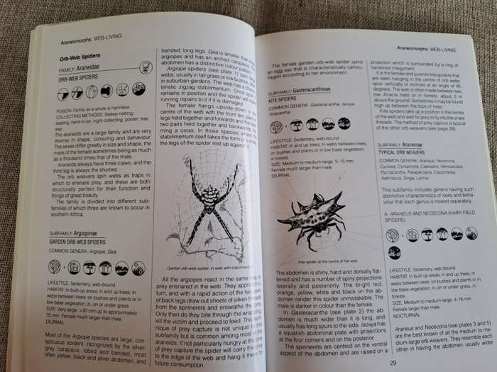 Southern African Spiders An Identification Guide - Martin R. Filmer
