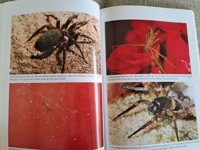 Southern African Spiders An Identification Guide - Martin R. Filmer