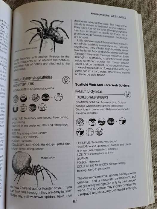 Southern African Spiders An Identification Guide - Martin R. Filmer