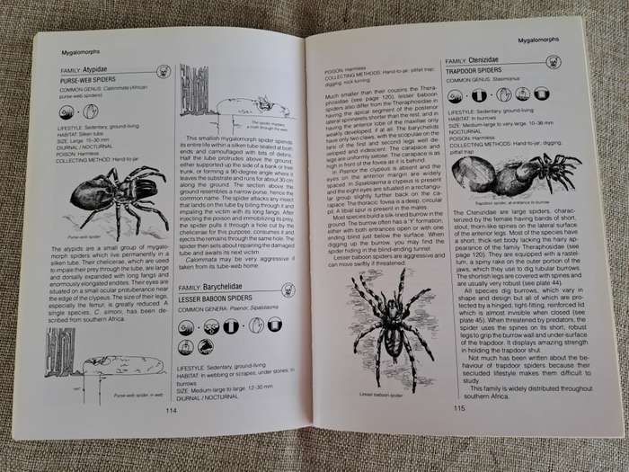 Southern African Spiders An Identification Guide - Martin R. Filmer