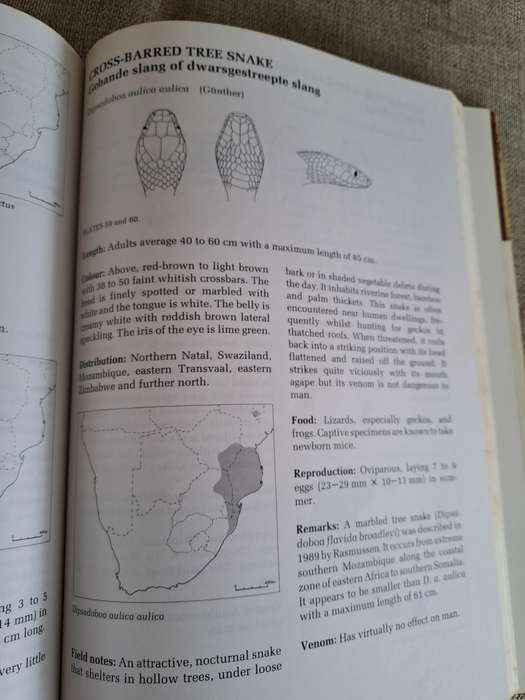 A Complete Guide to the Snakes of Southern Africa