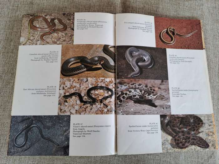 A Complete Guide to the Snakes of Southern Africa