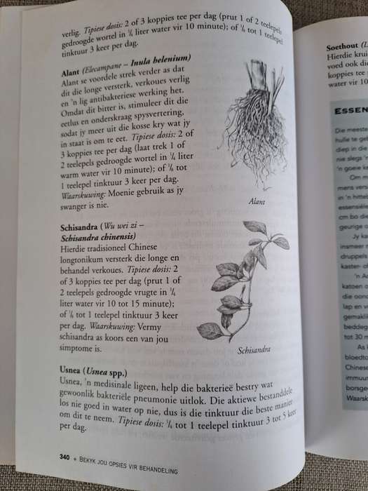 Kruie in die Apteek