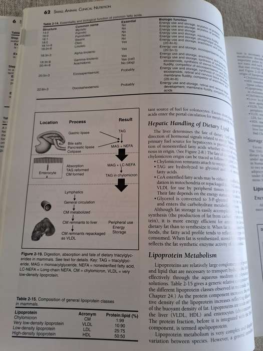 Small Animal Clinical Nutrition 4th Edition