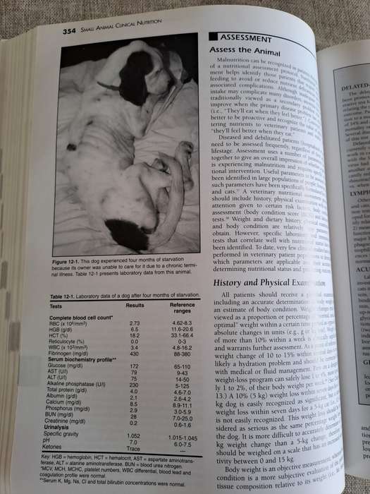 Small Animal Clinical Nutrition 4th Edition
