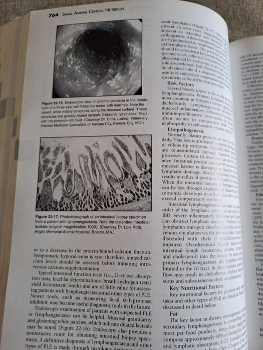 Small Animal Clinical Nutrition 4th Edition