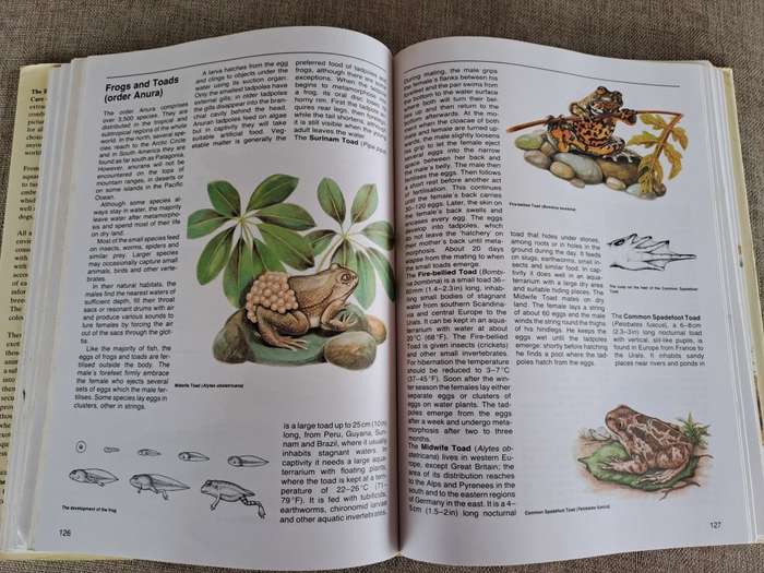 The Encyclopedia of Animals - The Care of Domestic and Exotic Pets