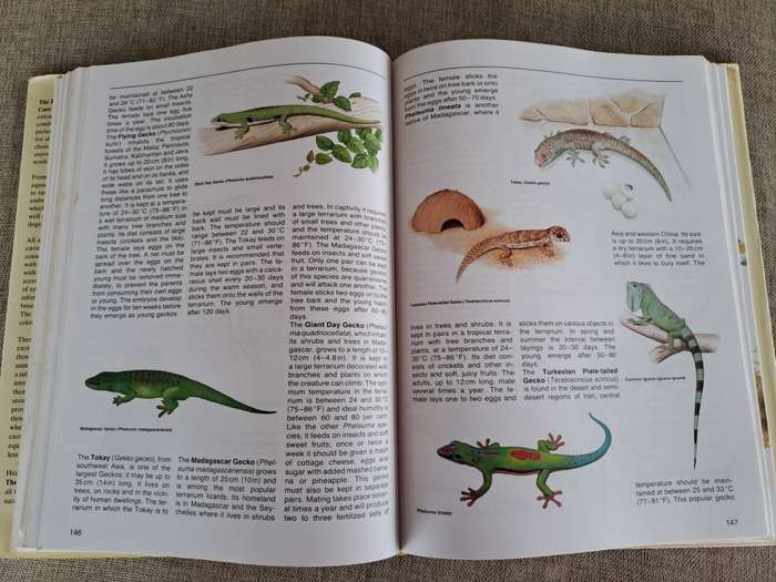 The Encyclopedia of Animals - The Care of Domestic and Exotic Pets
