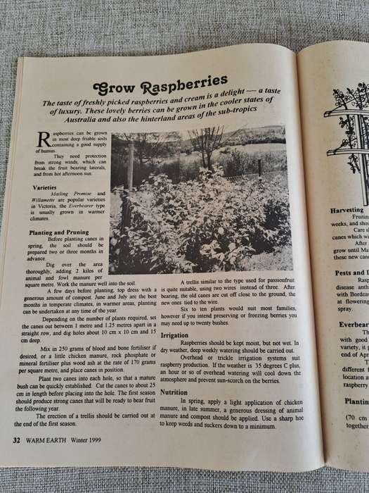 Warm Earth: Organic Growing - Healthy Living 1999 (2 magazines)