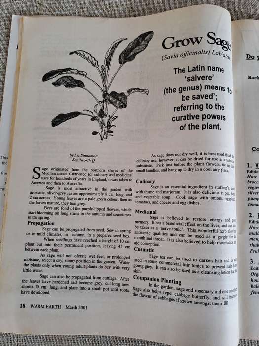 Warm Earth: Organic Growing - Healthy Living 2001 (5 magazines)