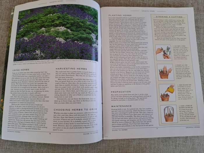 A Grower`s Guide to Herbs - Woolworths