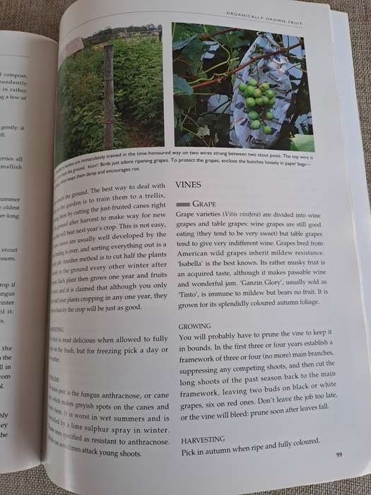 A Practical Guide to Organic Gardening - Woolworths