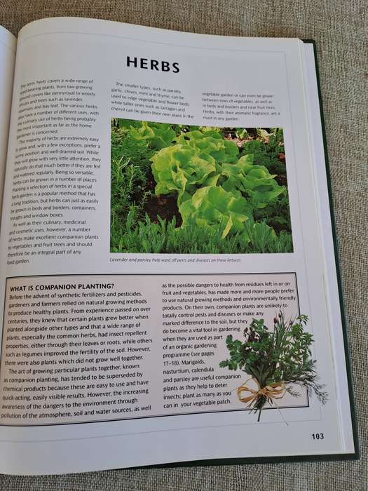 Food from Your Garden: A Southern African Guide to Growing Your Own Fruit, Vegetables and Herbs