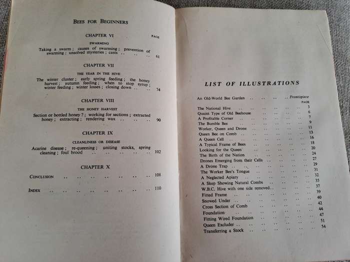 Bees for Beginners - E.H. Taylor Ltd.