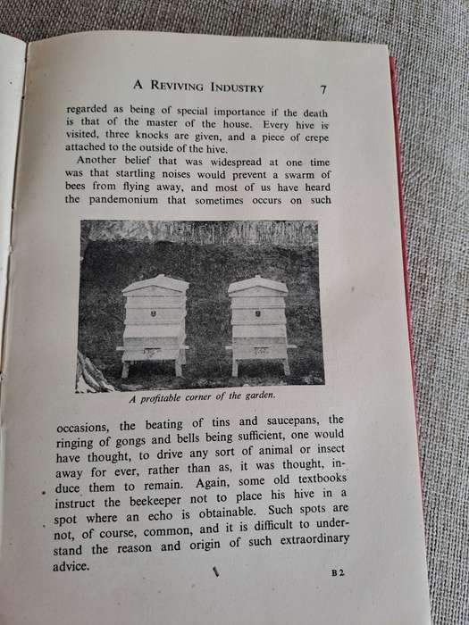 Bees for Beginners - E.H. Taylor Ltd.