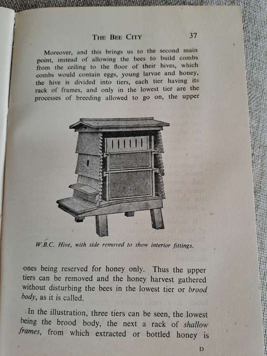 Bees for Beginners - E.H. Taylor Ltd.
