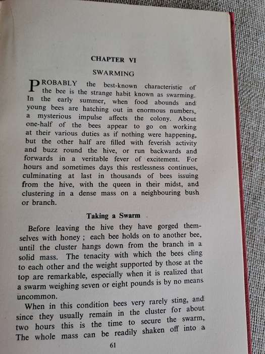 Bees for Beginners - E.H. Taylor Ltd.