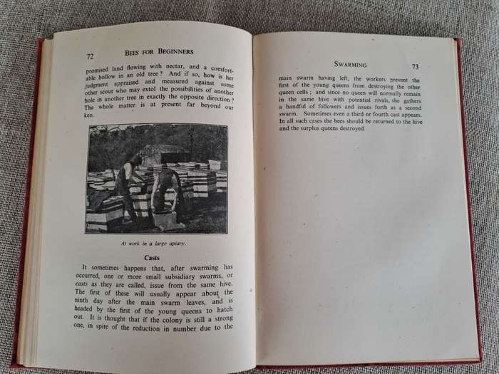 Bees for Beginners - E.H. Taylor Ltd.