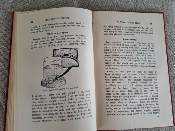 Bees for Beginners - E.H. Taylor Ltd.