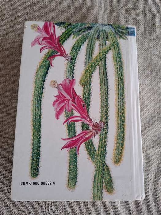 Cacti and Succulents - Rudolf Subik