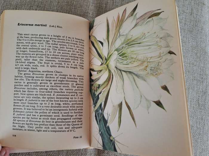 Cacti and Succulents - Rudolf Subik