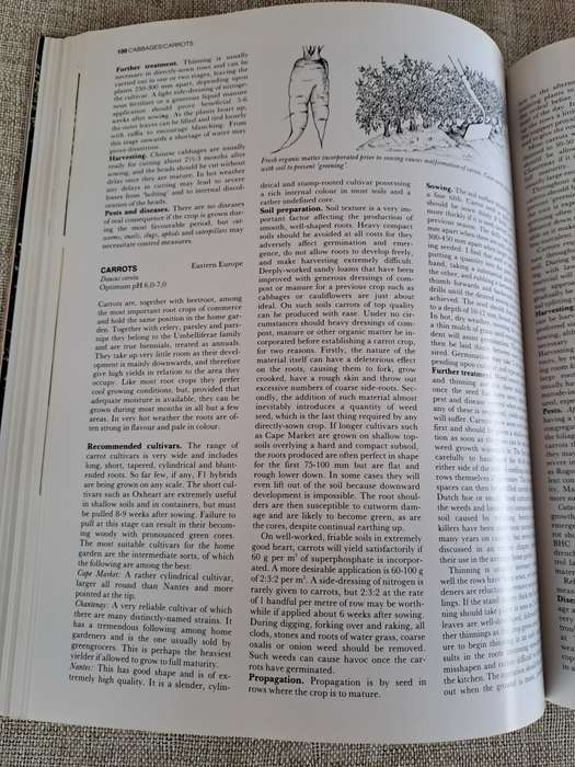 The A-Z of Vegetable Gardening in South Africa - Jack Hadfield