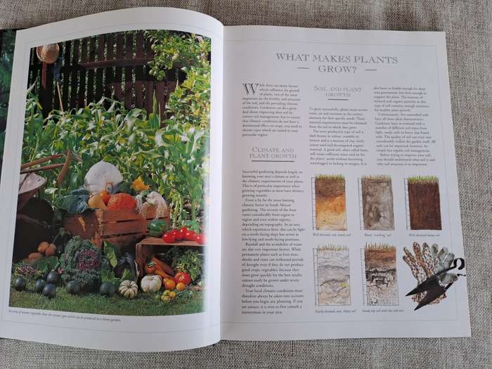 Food from Your Garden: A Southern African Guide to Growing Your Own Fruit, Vegetables and Herbs