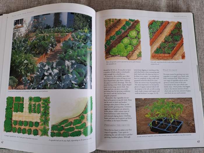 Food from Your Garden: A Southern African Guide to Growing Your Own Fruit, Vegetables and Herbs
