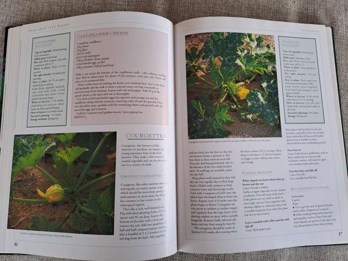 Food from Your Garden: A Southern African Guide to Growing Your Own Fruit, Vegetables and Herbs