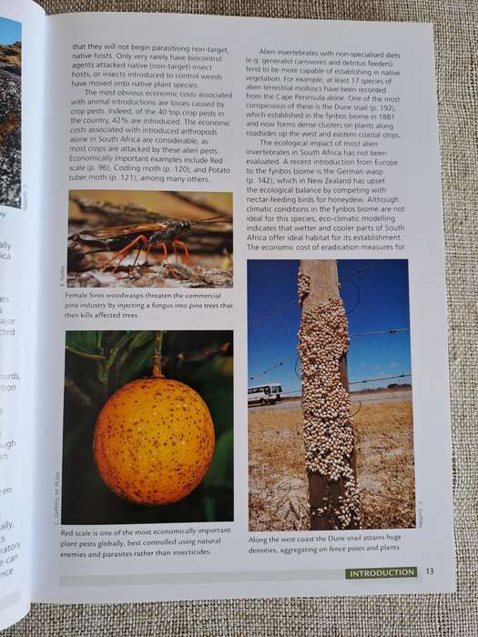 Alien & Invasive Animals - A South African Perspective - Mike Picker & Charles Griffiths