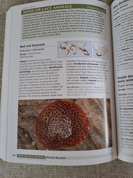 Alien & Invasive Animals - A South African Perspective - Mike Picker & Charles Griffiths