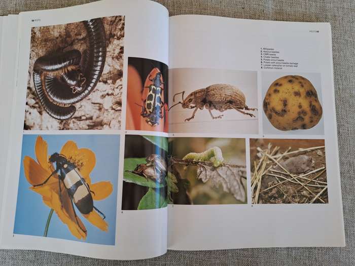 The A-Z of Vegetable Gardening in South Africa - Jack Hadfield
