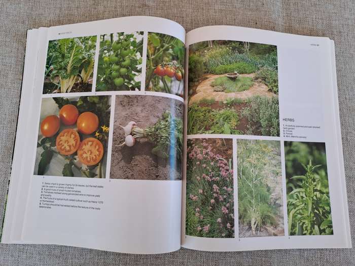 The A-Z of Vegetable Gardening in South Africa - Jack Hadfield