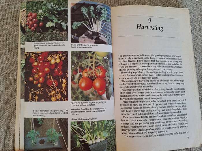 Growing Vegetables in South Africa