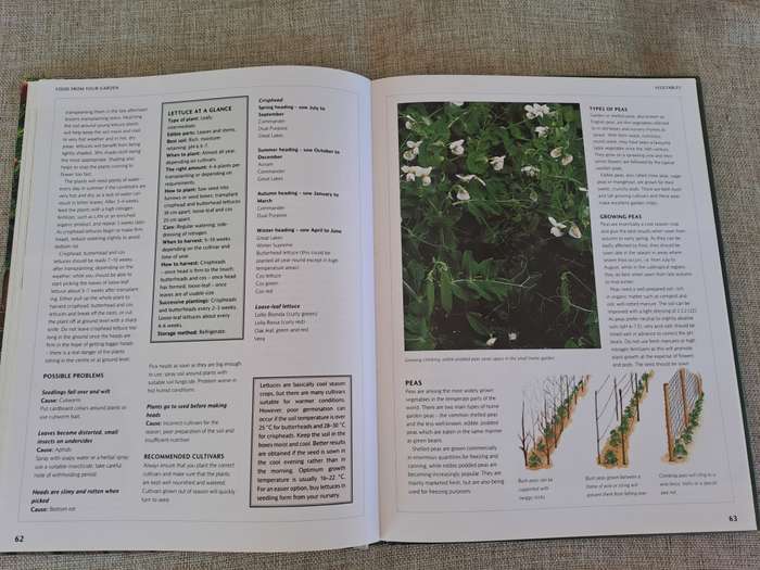 Food from Your Garden: A Southern African Guide to Growing Your Own Fruit, Vegetables and Herbs
