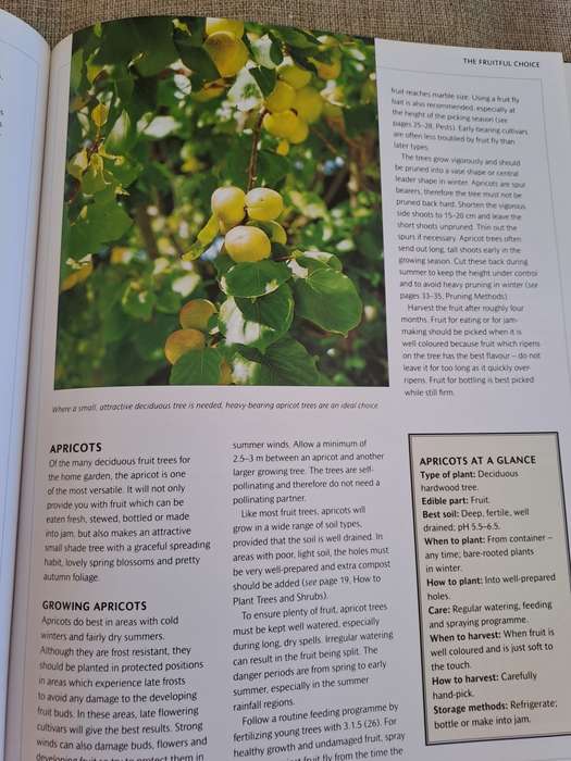 Food from Your Garden: A Southern African Guide to Growing Your Own Fruit, Vegetables and Herbs