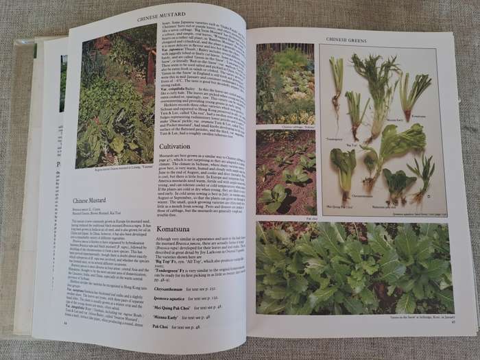 Vegetables - Roger Phillips & Martyn Rix