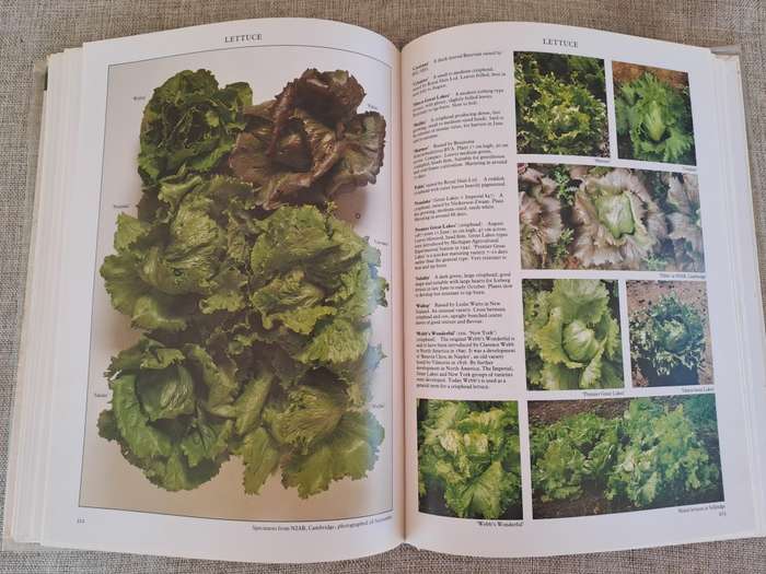 Vegetables - Roger Phillips & Martyn Rix