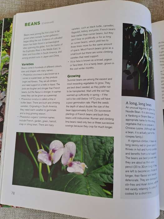 Jane's Delicious A-Z of Vegetables - A guide to growing organic vegetables in South Africa