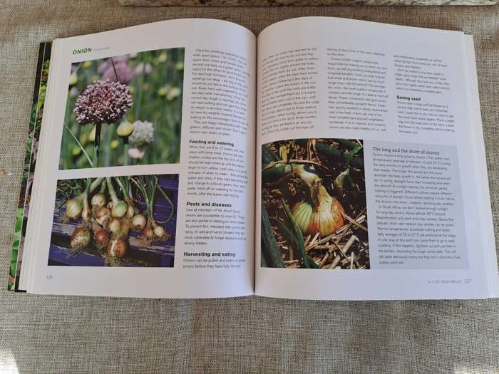 Jane's Delicious A-Z of Vegetables - A guide to growing organic vegetables in South Africa