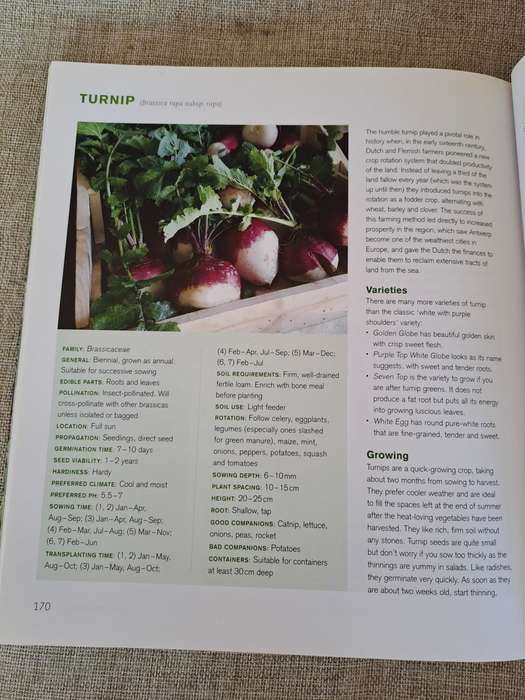 Jane's Delicious A-Z of Vegetables - A guide to growing organic vegetables in South Africa