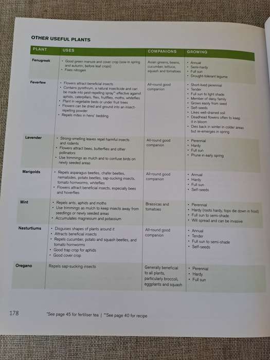 Jane's Delicious A-Z of Vegetables - A guide to growing organic vegetables in South Africa