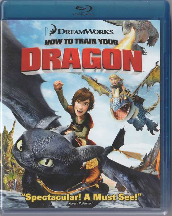How to train your Dragon