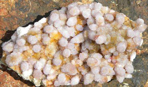 9.80kg WOW!!! Natural Spirit Quarts cluster ~ NR!!!