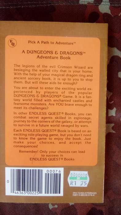 An Endless Quest Book #15 - Under Dragon's Wing
