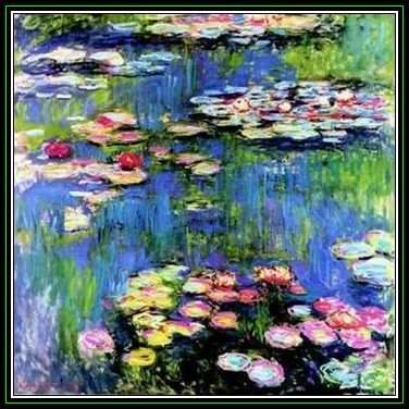 10 Water Lily Seeds - Mixed Species Varieties and Colours - Nymphaea (Egyptian Lotuses) - New