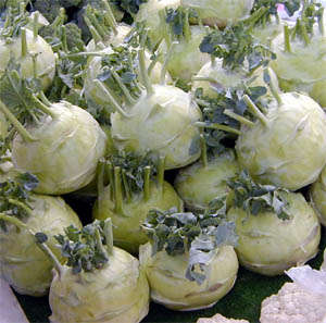 300+ Kohlrabi White Vienna Vegetable Seeds ~ Brassica oleracea Seeds