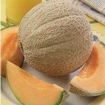 10 Melon - Spanspek - Hearts of Gold - Cucumis melo - Fruit Seeds