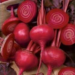 15 Ruby Queen Beet Seeds - Beta vulgaris - Vegetable Seeds